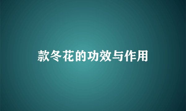 款冬花的功效与作用