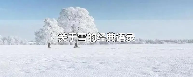 关于雪的经典语录