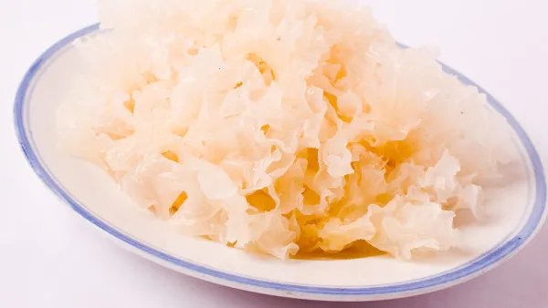 轻度脂肪肝怎样饮食