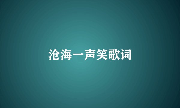 沧海一声笑歌词