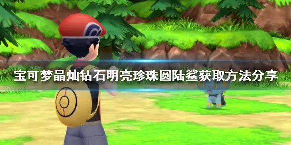 《宝可梦晶灿钻石明亮珍珠》圆陆鲨在哪抓？圆陆鲨获取方法分享