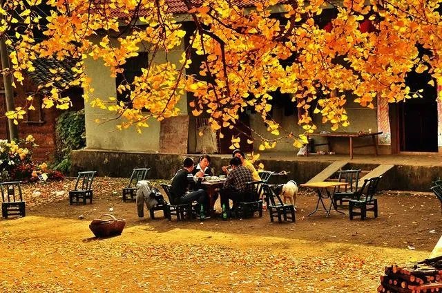 随州有哪些著名的旅游景点？