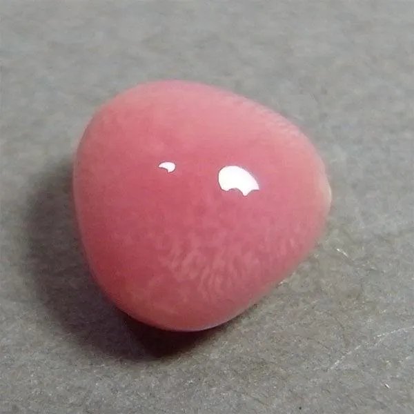 海螺珠是什么？和珍珠有什么区别？