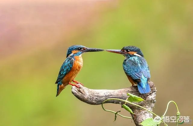 古人描写七夕的诗词有哪些？你最喜欢哪首？