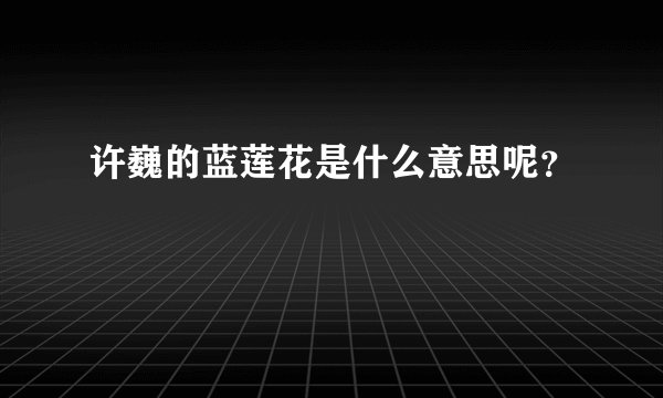 许巍的蓝莲花是什么意思呢？