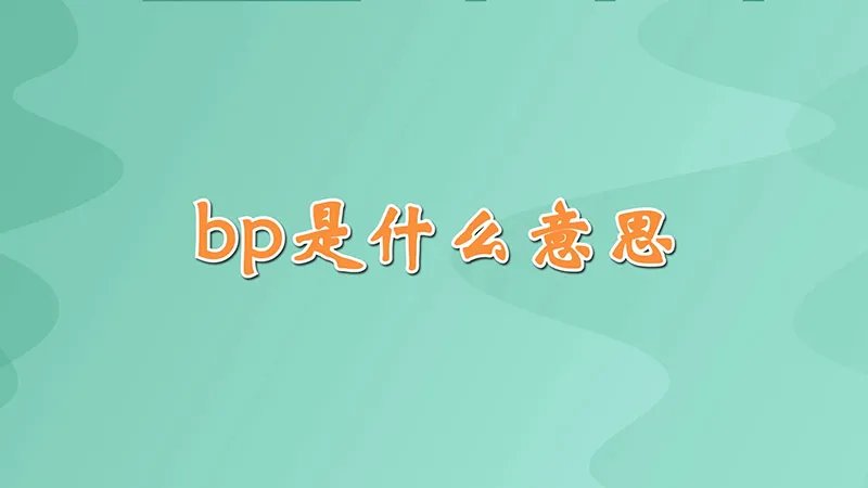 bp是什么意思