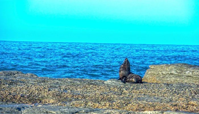 中国最大的海是哪个 中国最大的海在哪里