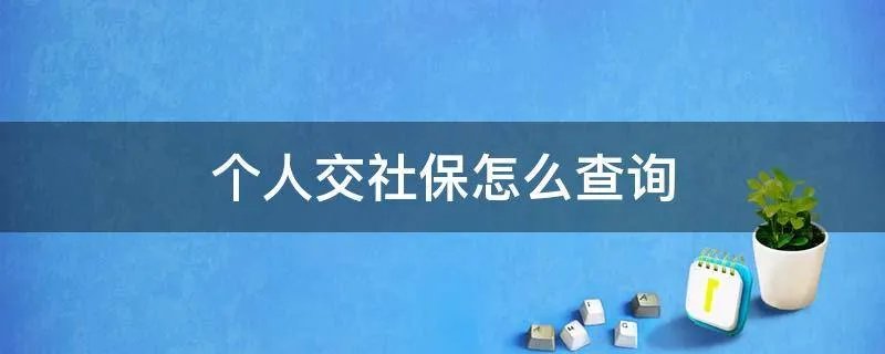 个人交社保怎么查询