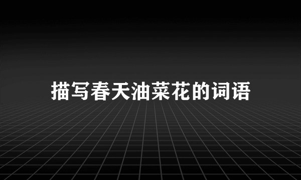 描写春天油菜花的词语