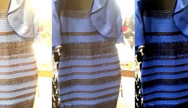 白金裙子和黑蓝裙子哪个好看