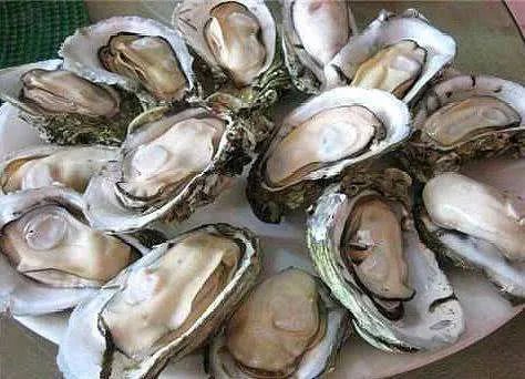 生蚝的图片
