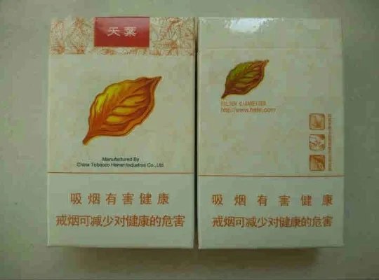 黄金叶大小天叶区别 3处辨别黄金叶大天叶与小天叶【图解】