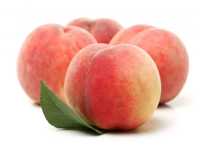 桃胶的功效与作用