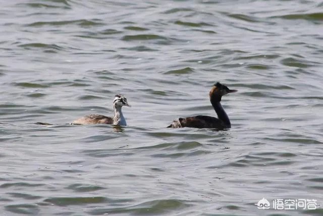 包头这个城市美不美？