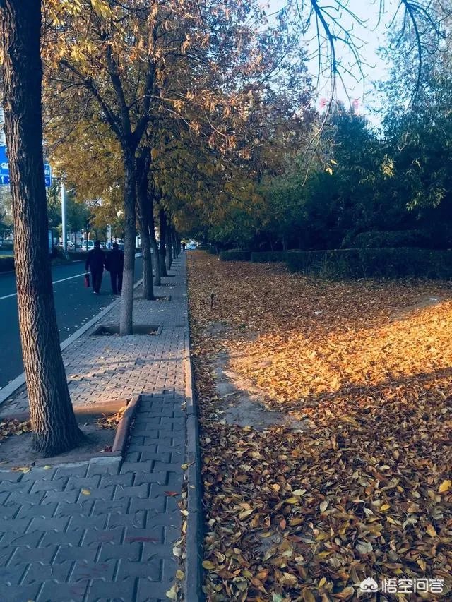 包头这个城市美不美？