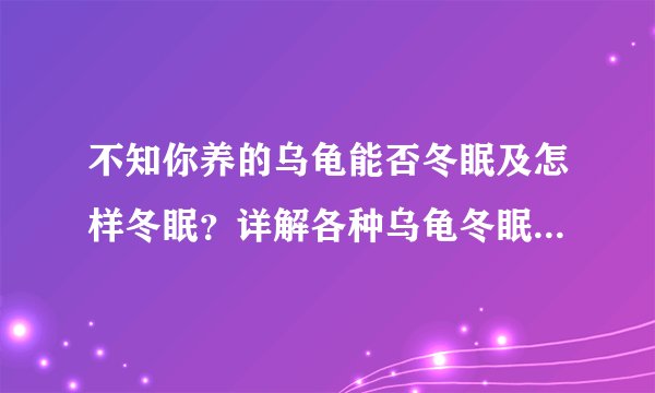 不知你养的乌龟能否冬眠及怎样冬眠？详解各种乌龟冬眠方法优缺点