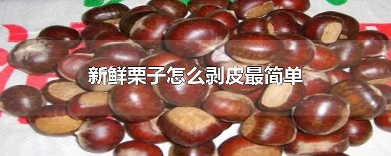 新鲜栗子怎么剥皮最简单