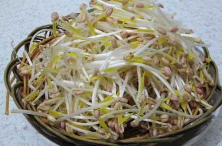 绿豆芽怎么炒好吃？