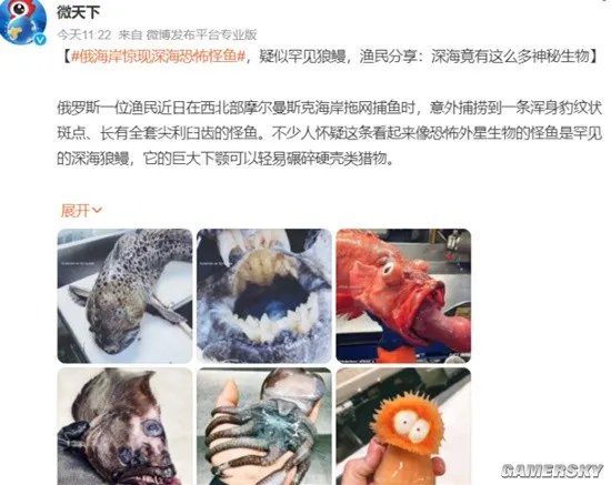 俄罗斯海岸惊现深海恐怖怪鱼 满嘴利牙像外星生物