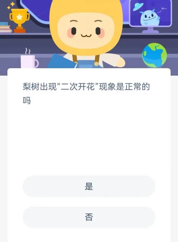 梨树出现二次开花现象是正常的吗