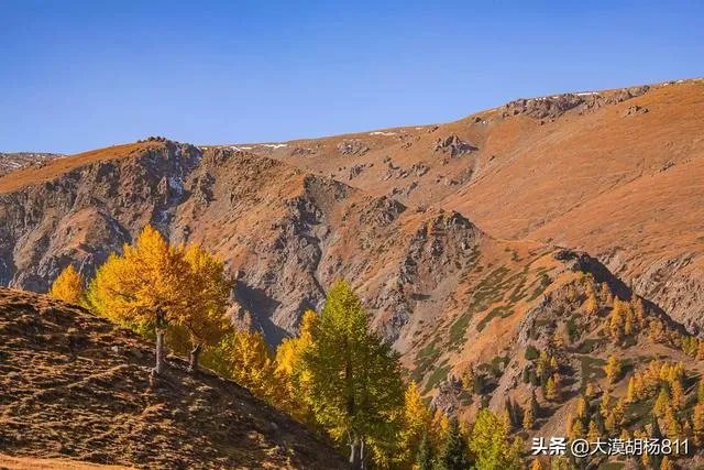 家用数码相机什么牌子好？