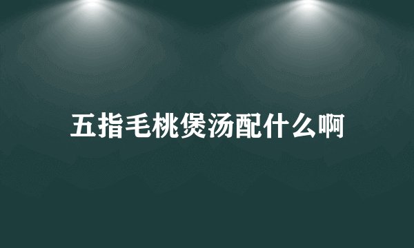 五指毛桃煲汤配什么啊