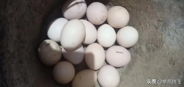 新冠疫情结束后，你最想做的事情是什么？