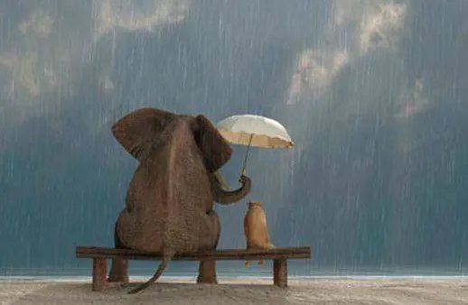 情商高的十种表现有哪些？