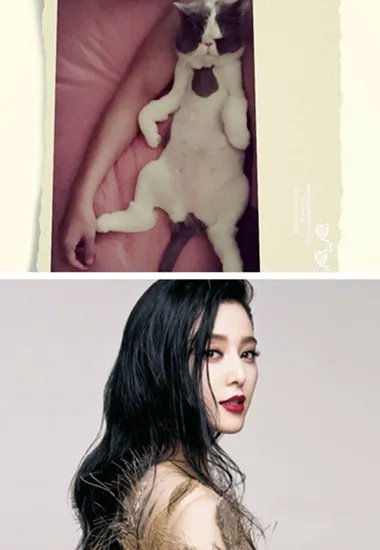 范冰冰献吻白鲸萌翻众人 深夜更博秀的一手好恩爱