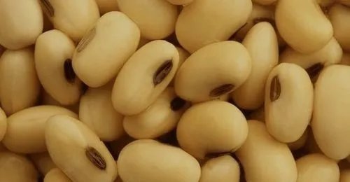 春分适合吃什么食物？