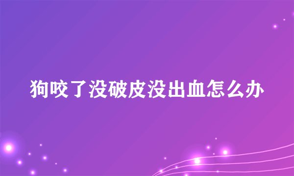 狗咬了没破皮没出血怎么办