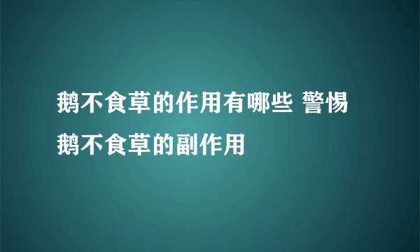 鹅不食草的作用有哪些 警惕鹅不食草的副作用