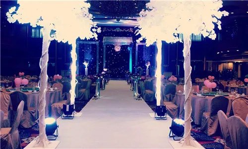 石家庄婚庆公司哪家好 婚庆公司服务都有哪些