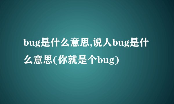 bug是什么意思,说人bug是什么意思(你就是个bug)