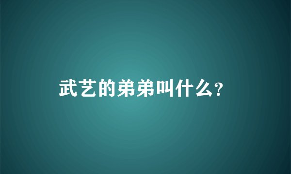 武艺的弟弟叫什么？