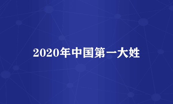 2020年中国第一大姓
