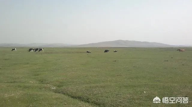 张家口市沽源县有哪些好玩的地方值得推荐？