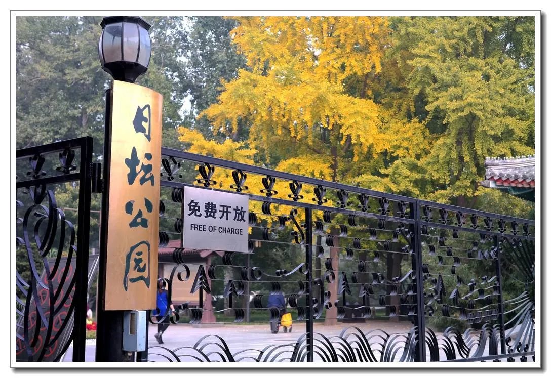 朝阳区在北京的哪个位置