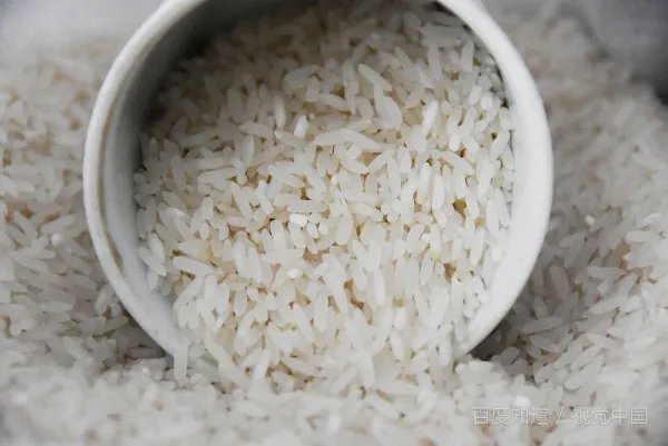 rice 怎么读谐音