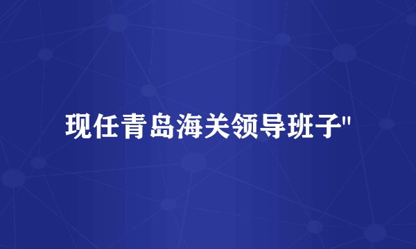 现任青岛海关领导班子