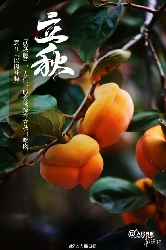 立秋吃什么 立秋吃的食物介绍