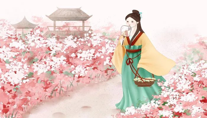 豆蔻年华是指多少岁 豆蔻年华是指多少岁的女子