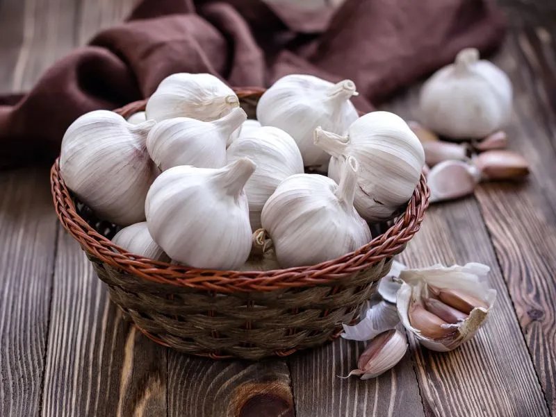 大蒜的功效与作用有哪些
