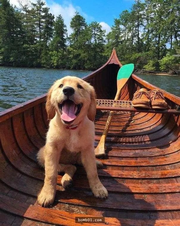 求推荐一些可爱的QQ头像？