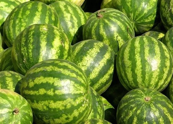 小伙伴惊呆：挑西瓜软件失灵 夫妻大闹水果摊！