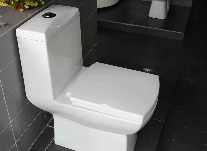 厕所堵了怎么办疏通马桶有妙招