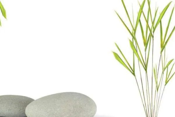 微风习习是什么意思？