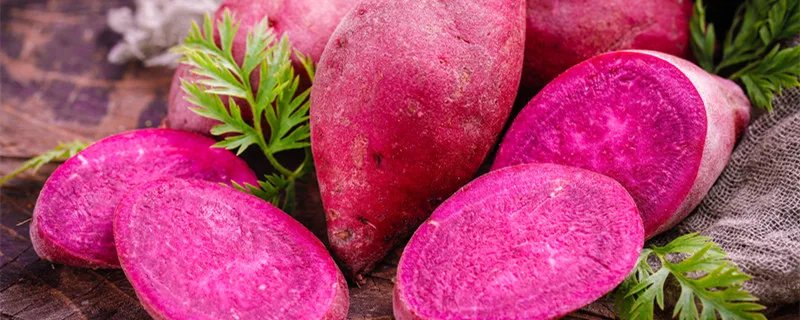 紫薯蒸多久能熟 紫薯蒸多久能熟透