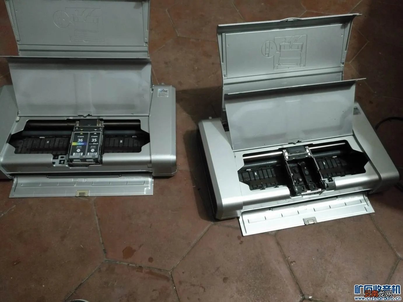 canon ip100 canonip100