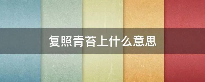复照青苔上什么意思